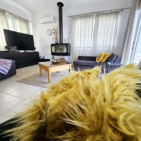 Vila Olivia Paphos